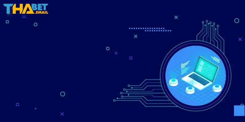 Điều khoản sử dụng và lưu ý cần nắm